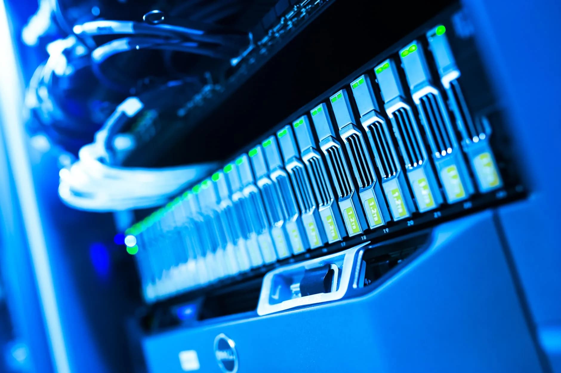 The network gear that filters hostile traffic at the edge